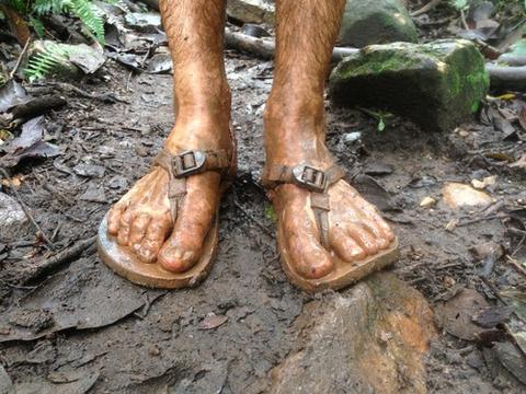THROWBACK <br> LUNAs AND MUD