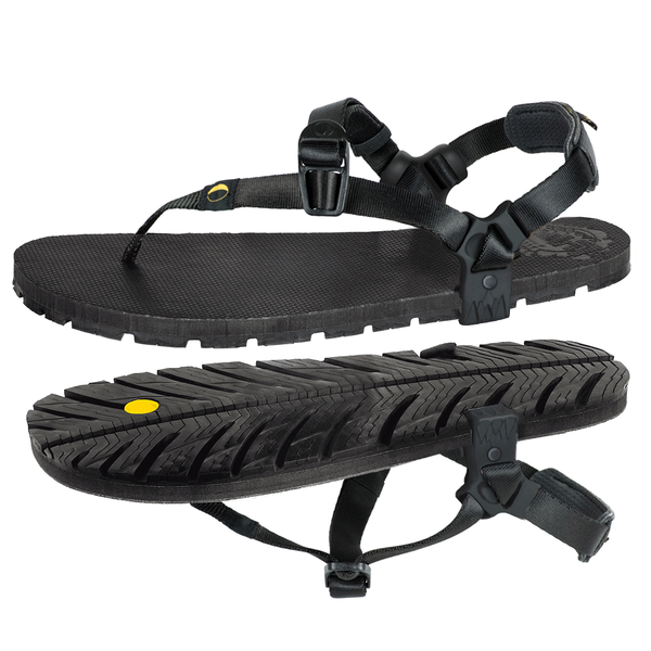 WingedOrigenBlack_68c3789e- WingedOrigenBlack_68c3789e-