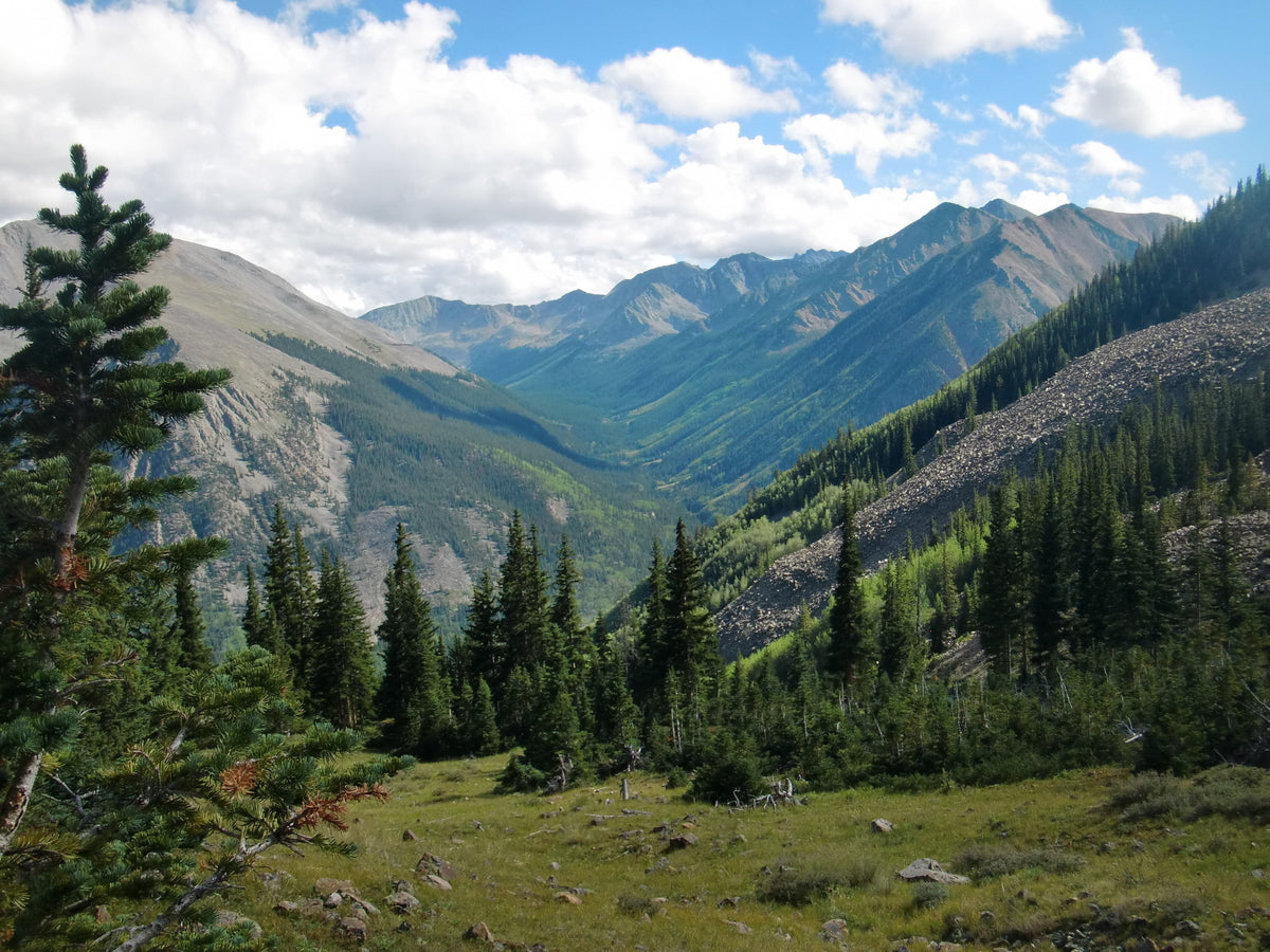 Leadville Trail 100 Mile Endurance Run 