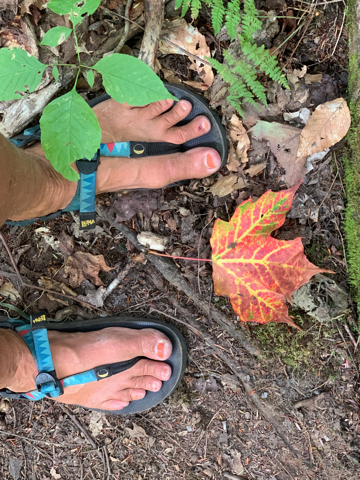 100 Miles on the Appalachian Trail