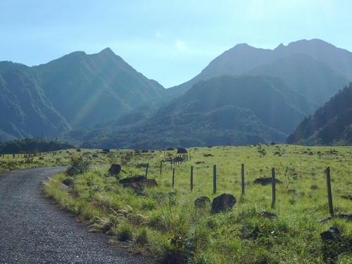 THROWBACK <BR> A STORY ABOUT RUNNING FREE <BR> NO PAIN, ALL GAIN