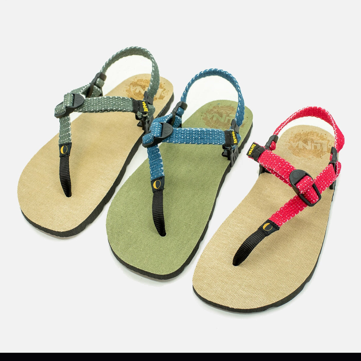 Hemp Monkey 🇺🇸