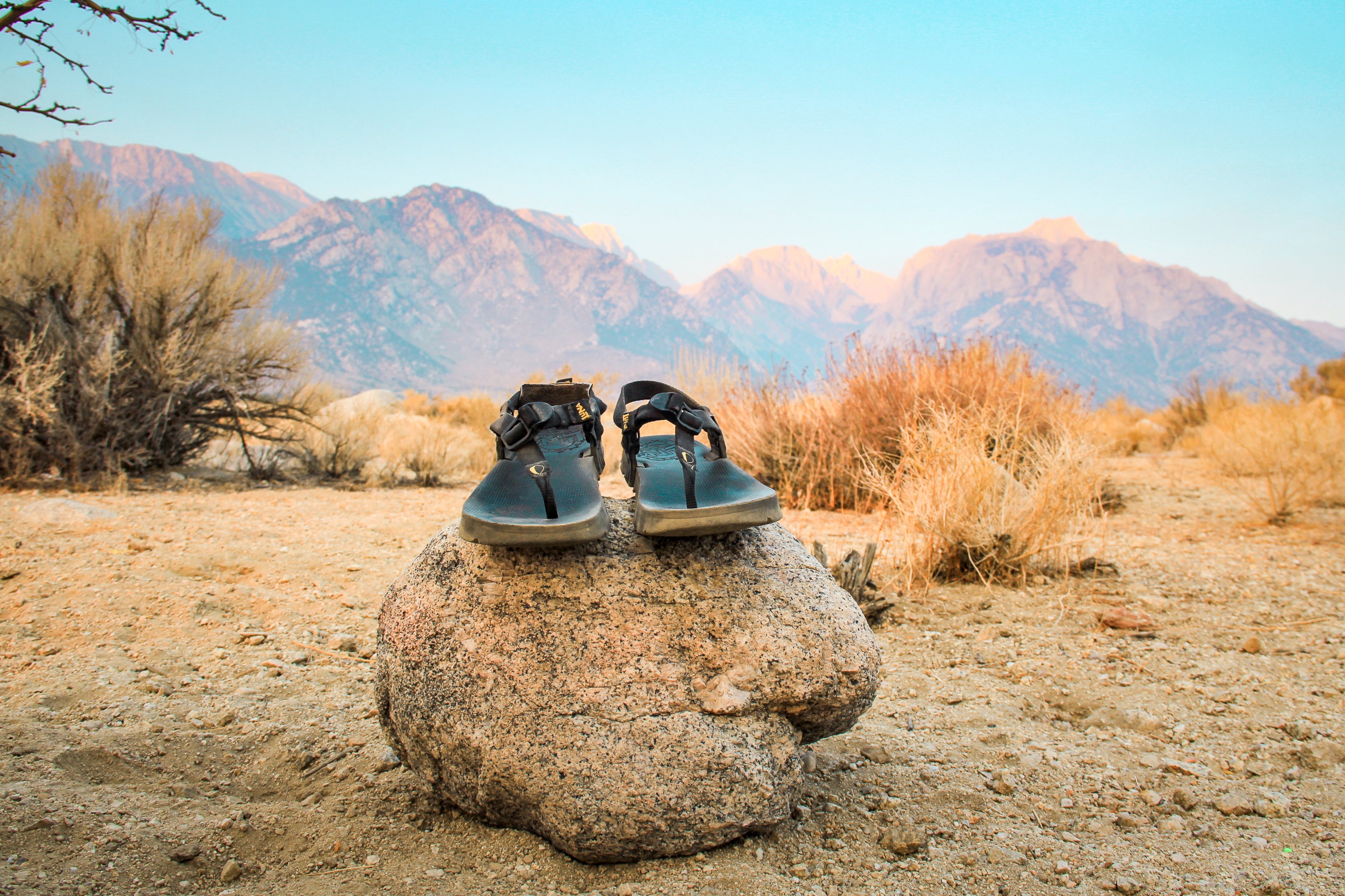 Mono Gordo Winged Edition - Adventure sandal – LUNA Sandals