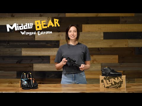 Middle Bear Winged Edition - Black