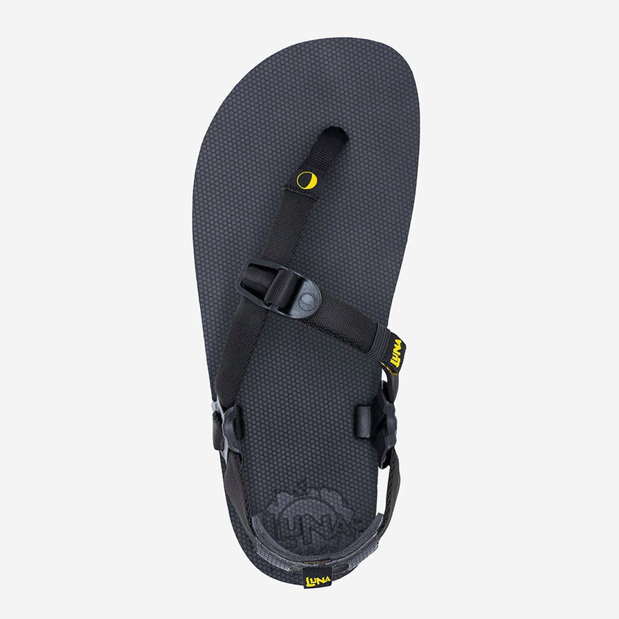 LUNAcycled Middle Bear Winged Edition - Black - single, top