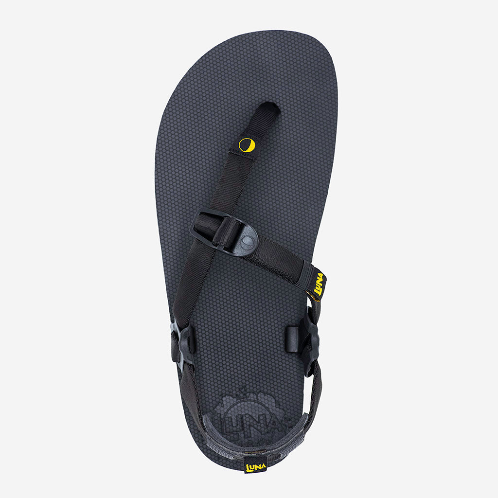 Middle Bear Winged Edition - Black - LUNA Sandals