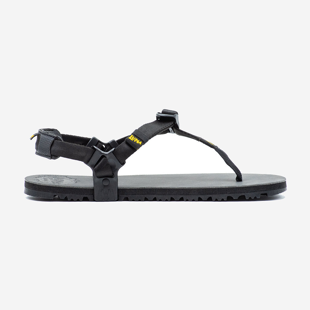 Middle Bear Winged Edition - Black - LUNA Sandals