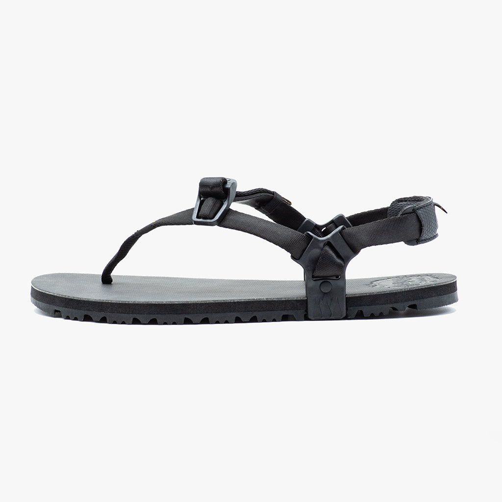 Middle Bear Winged Edition - LUNA Sandals