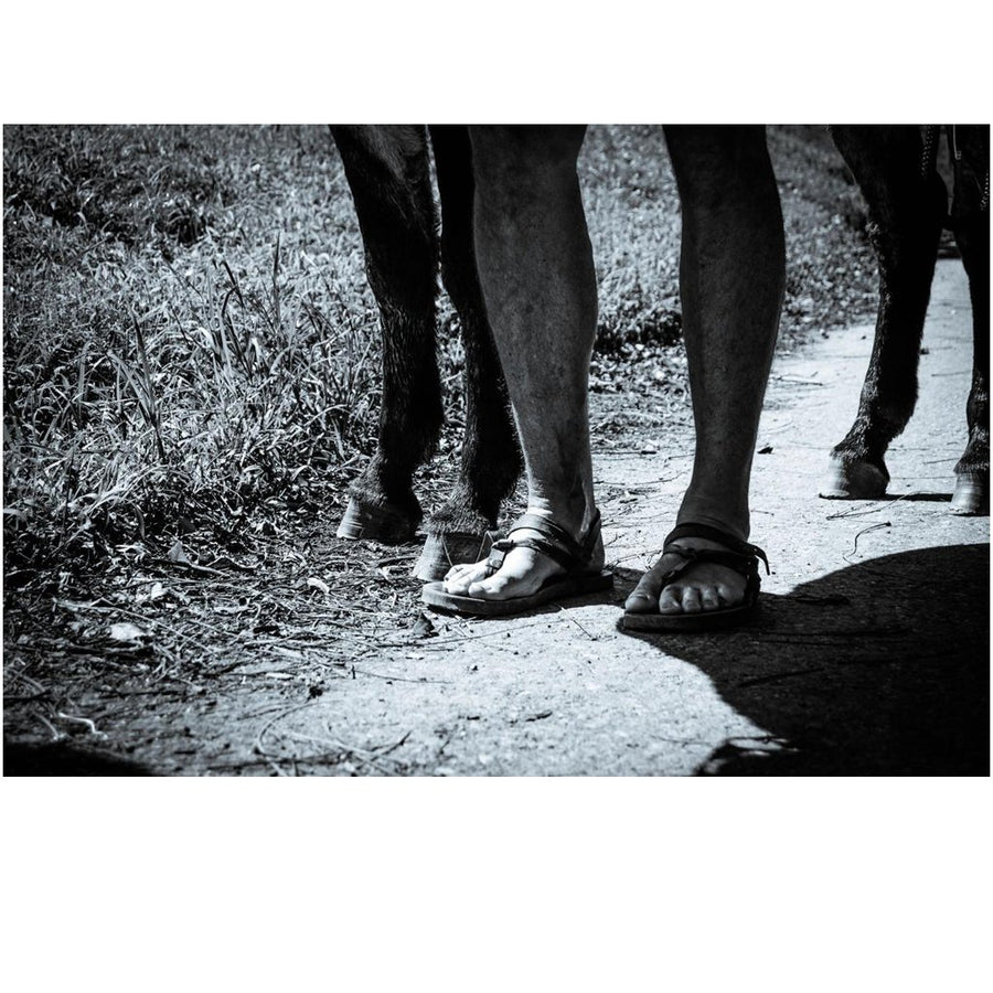 Christopher McDougall Signed! - Running with Sherman: The Donkey with the Heart of a Hero - Sherman photo, black and white