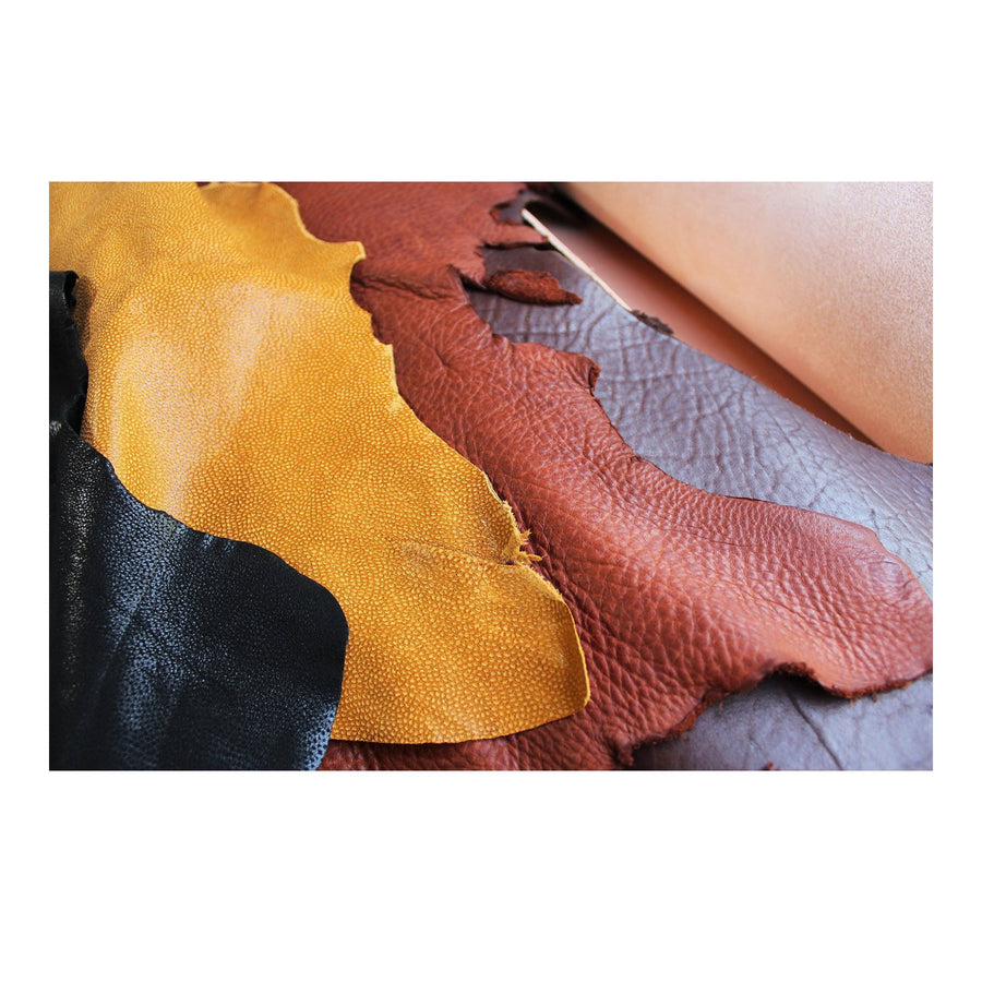 Mono Premium Bisonte 🇺🇸 - leather swatches